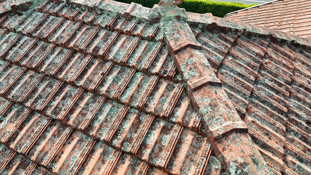 residential-service-inspection Commercial Independent Roof Inspection of a red corrugated roof with HVAC units